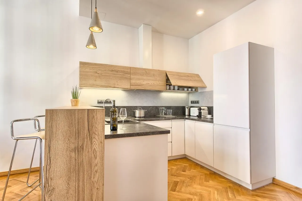 Spacious And Bright Apartment Dusni 13 Prague